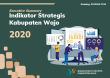 Executive Summary Indikator Strategis Kabupaten Wajo 2020