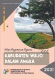 Wajo Regency In Figures 2021