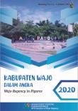 Wajo Regency in Figures 2020