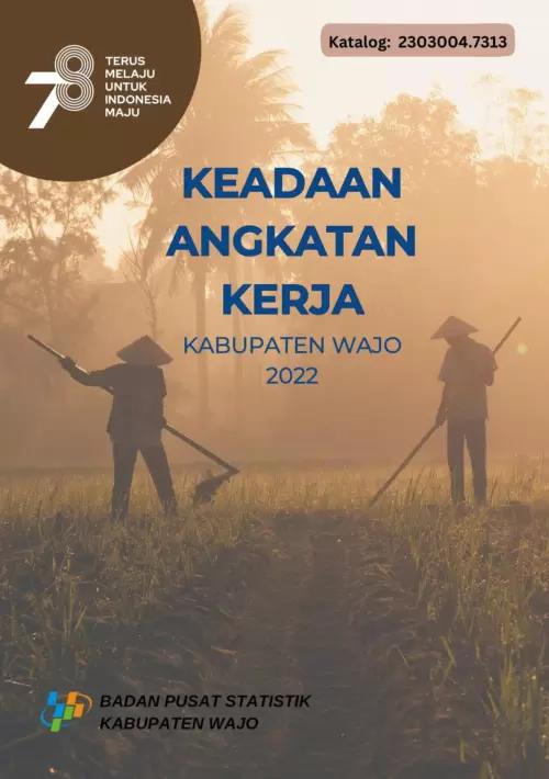 Keadaan Angkatan Kerja Kabupaten Wajo 2022