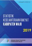 Statistik Kesejahteraan Rakyat Kabupaten Wajo 2019