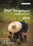 Statistik Ketenagakerjaan Kabupaten Wajo 2019